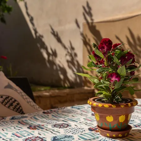 Casa vacanze La Palma *
